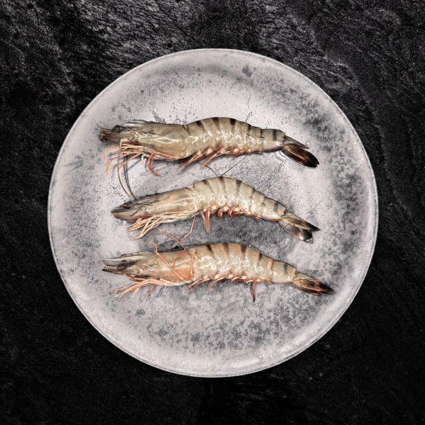 Garnele 13/15 mit Kopf, mit Schale
