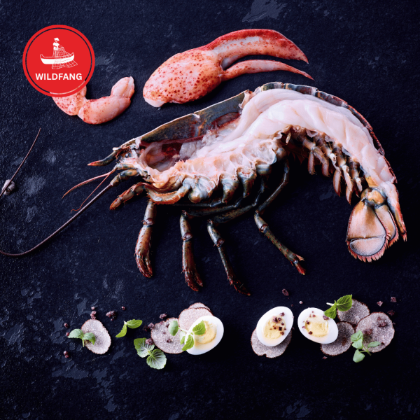 High Pressure Hummer - Halber Hummer