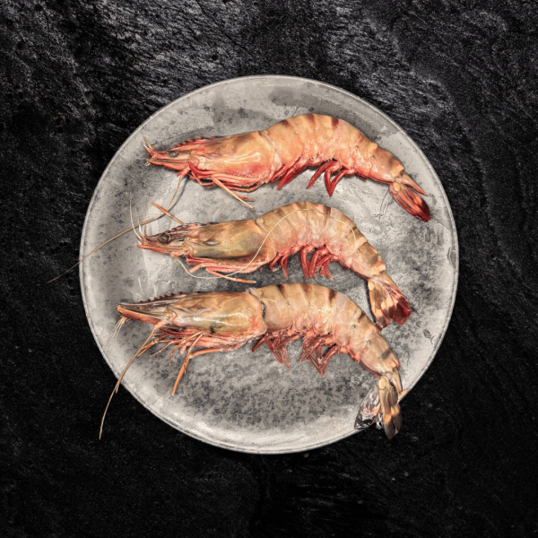 Garnele 6/8 mit Kopf, mit Schale