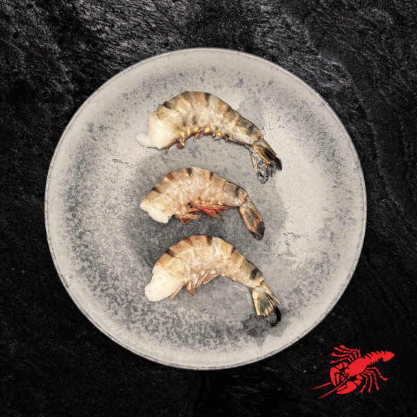 Hummer Pedersen Garnele 8/12 - easy peel